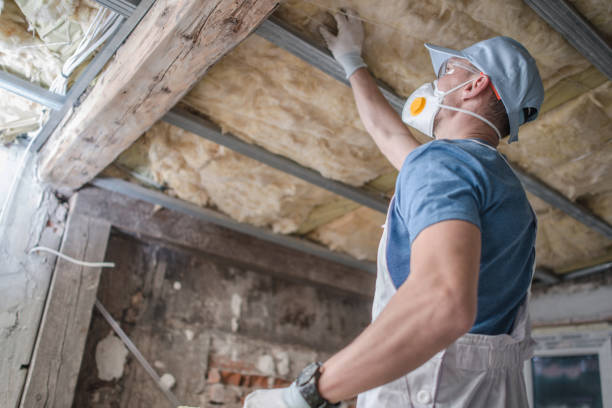Best Commercial Insulation Contractor  in Bel Ridge, MO
