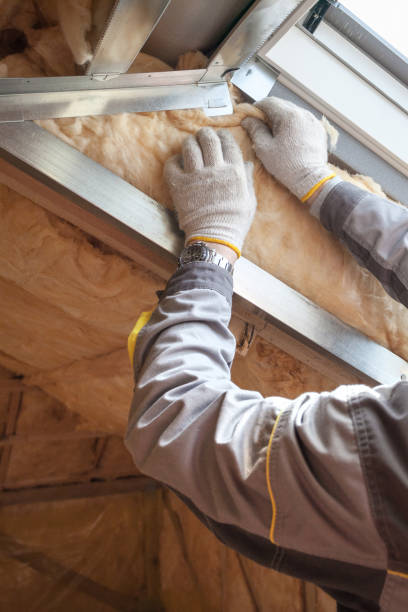 Best Insulation Replacement Services  in Bel Ridge, MO