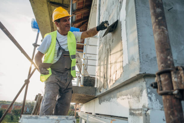 Best Insulation Removal  in Bel Ridge, MO