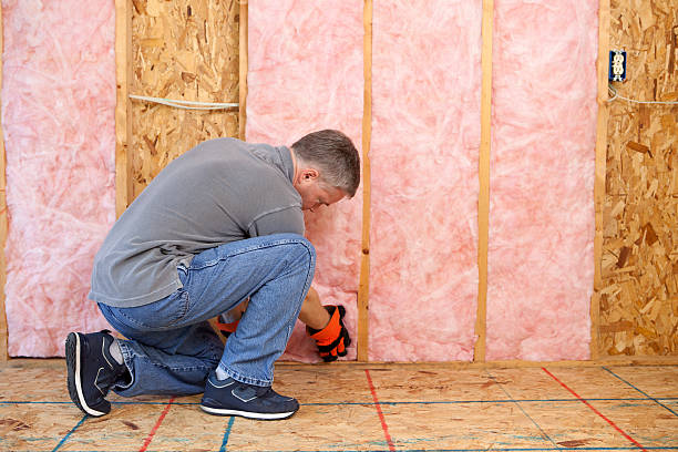 Best Fiberglass Insulation  in Bel Ridge, MO