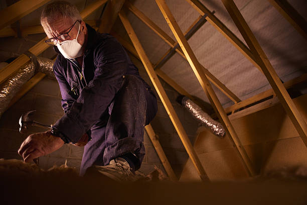 Best Crawl Space Insulation  in Bel Ridge, MO